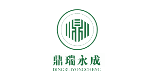 logo-H-46-dingrui-yongcehng.png