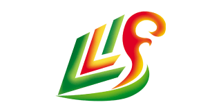 logo-I-48-linyi-lusheng-decoration.png